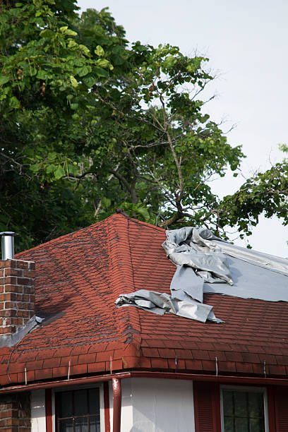 Damaged Roof Shingles stock photo