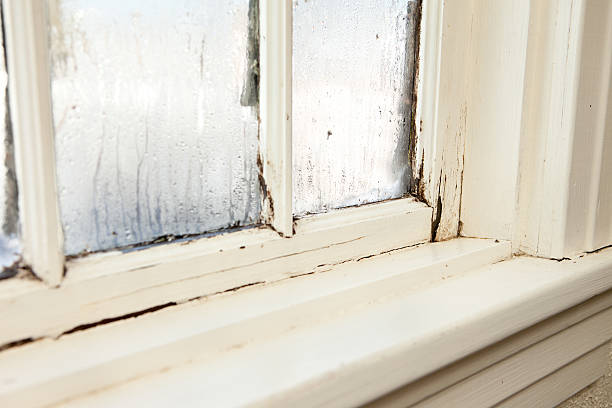 Damaged, Rotting Window Inside Older Home "Color image of an old window, in need of replacement, with rotting wood and peeling paint, inside an older home, during winter." rotting stock pictures, royalty-free photos & images