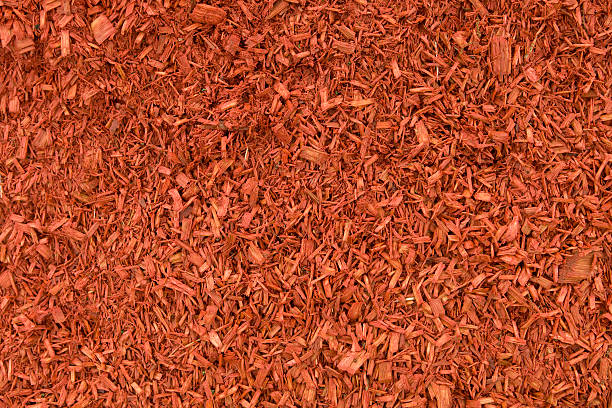 Damp Red Mulch Background  mulch stock pictures, royalty-free photos & images