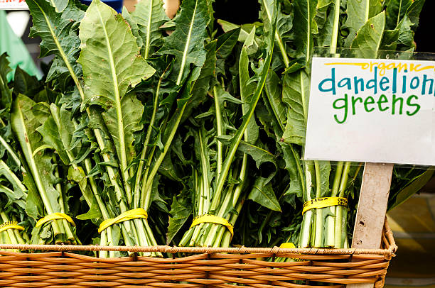 Dandelion Greens stock photo