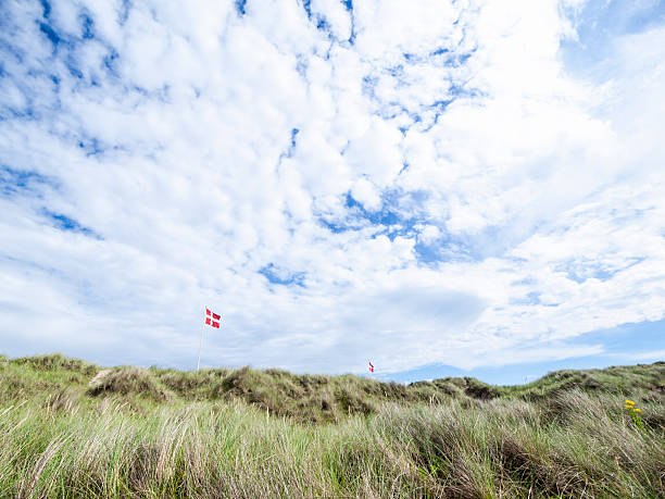 Danish flags in the landscape. stock photo
