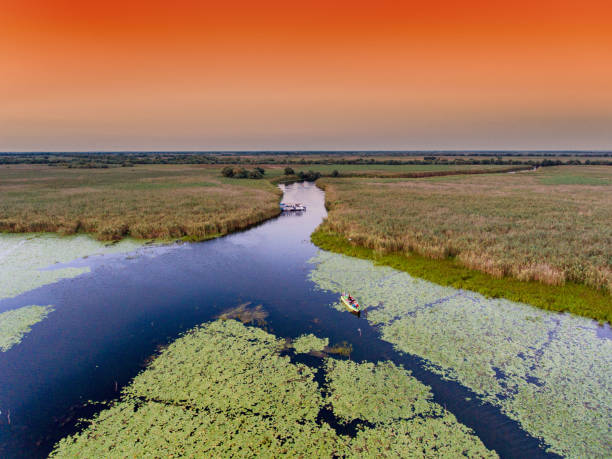 Danube Delta at sunset aerial view stock photo