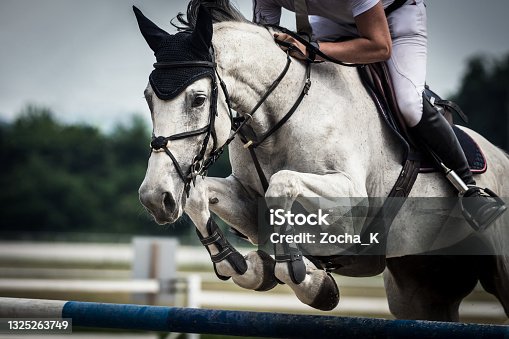 istock Dapple gray horse jumping over hurdle 1325263749