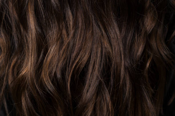 Dark brown hair texture. Wallpaper Beautiful curvy dark brown hair with chocolate highlights. I photographed in the beauty salon during the work of the stylist. Stunning texture and wallpaper hair. Hair Background brown hair stock pictures, royalty-free photos & images