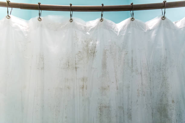 Dark brown mildew mold on plastic interior shower curtain in a light aqua bathroom stock photo
