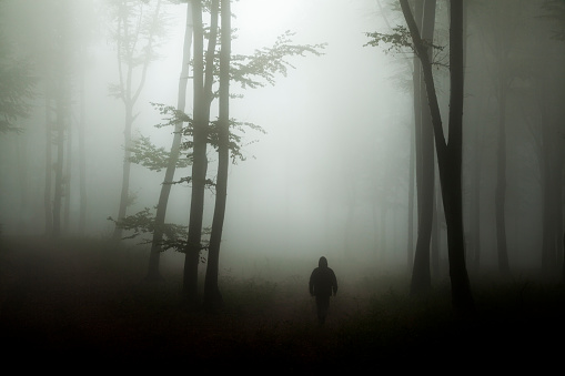 Dark horror man in creepy foggy forest