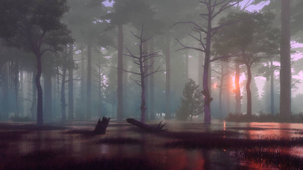 Dark mystical forest swamp at foggy dawn or dusk Mystical forest swamp with creepy dead trees at foggy early morning or dusk. Dreamlike woodland scenery 3D illustration from my own 3D rendering file. copse stock pictures, royalty-free photos & images