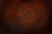 istock Dark red brown painted texture background 1358502409