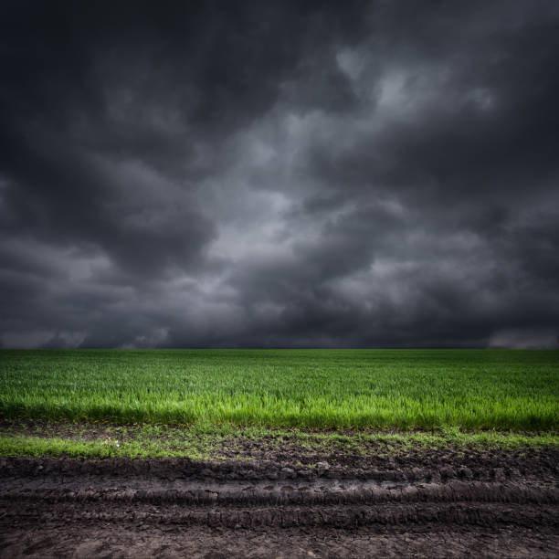 Dark storm clouds over green field and dirt road stock photo