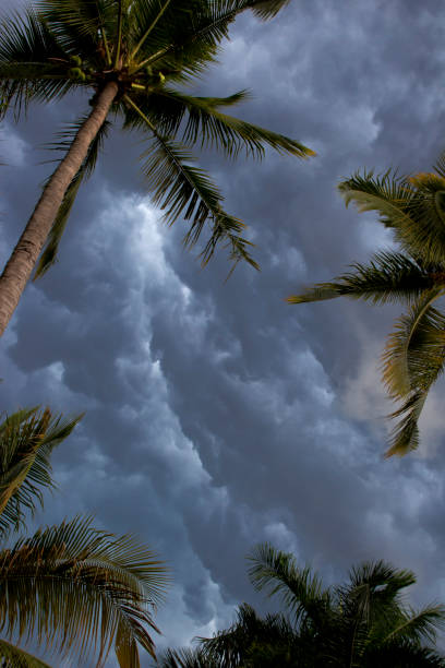 Dark Tropical Clouds stock photo