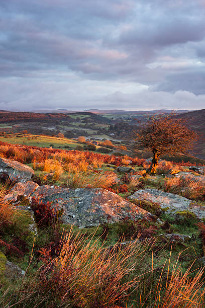 Dartmoor Landscape stock photo