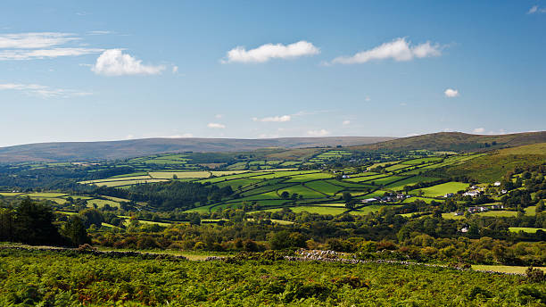 Dartmoor stock photo