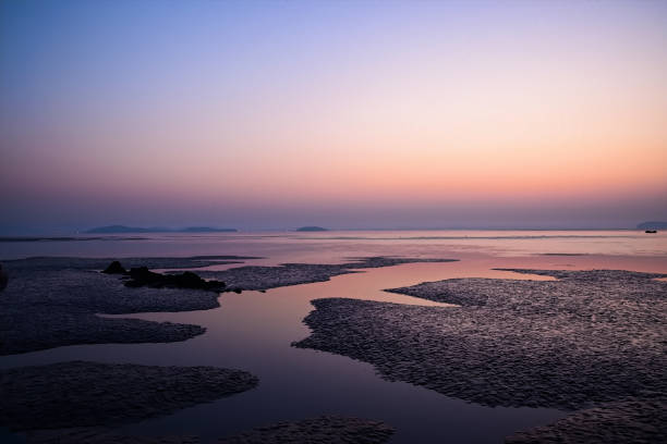 Dawn of tidal flats VD702 Tidal Dawn low tide stock pictures, royalty-free photos & images