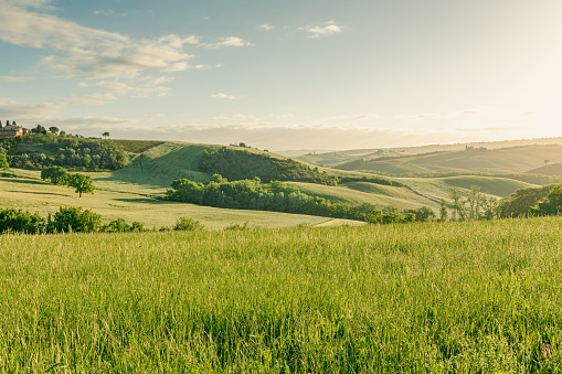Beautiful view of the spring landscape in Tuscany, Italy.