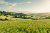 istock Dawn on the hills of the Val d'Orcia 1321276247