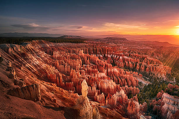 dawn over bryce canyon - rotsformatie stockfoto's en -beelden