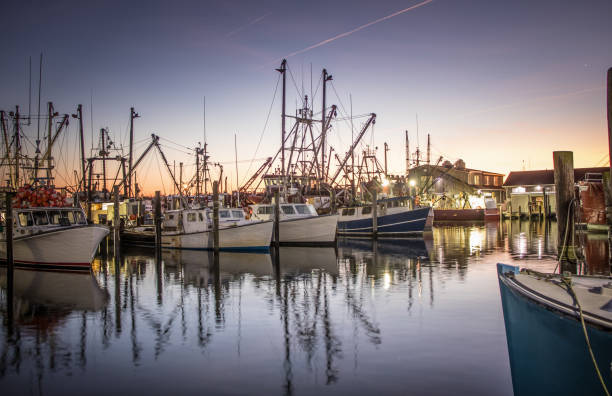 Dawn over the fishing fleet at Viking Village, Barnegat Light, NJ Early morning at Viking Village in Barnegat Light, New Jersey fishing boat stock pictures, royalty-free photos & images