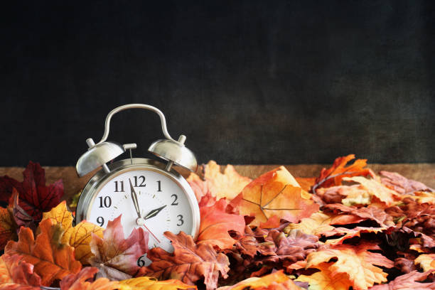 Daylight Savings Time Concept Alarm clock in colorful autumn leaves against a dark background with shallow depth of field and free space for text. Daylight savings time concept. daylight saving time stock pictures, royalty-free photos & images