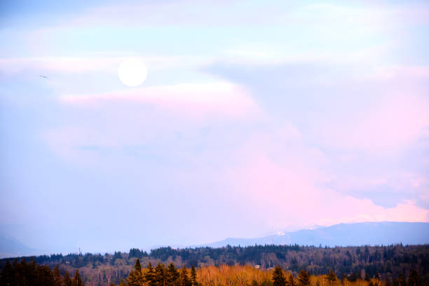 Daytime full moon rises over base of Mount Baker stock photo