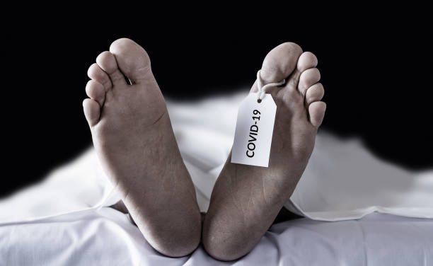 dead bodies hanging tag Covid-19. many victims of coronavirus infected person death around the world, severe epidemic that leads to enormous loss during coronavirus outbreak stock photo