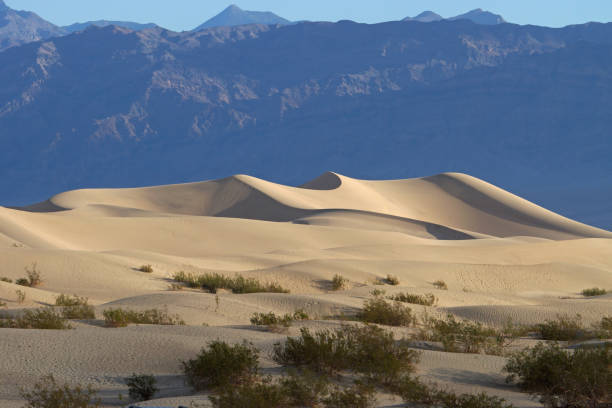 Death Valley Sand Dune stock photo