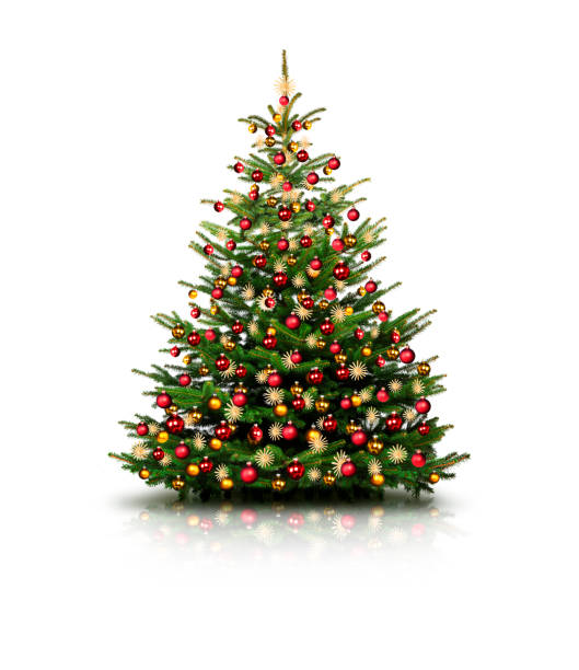 zdobiona choinka z kolorowymi bombkami bożonarodzeniowymi izolowanymi na białym tle - christmas tree zdjęcia i obrazy z banku zdjęć
