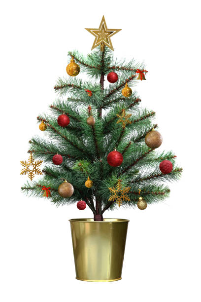 Decorated christmas tree with red and golden ball in the golden pot isolated on white background stock photo