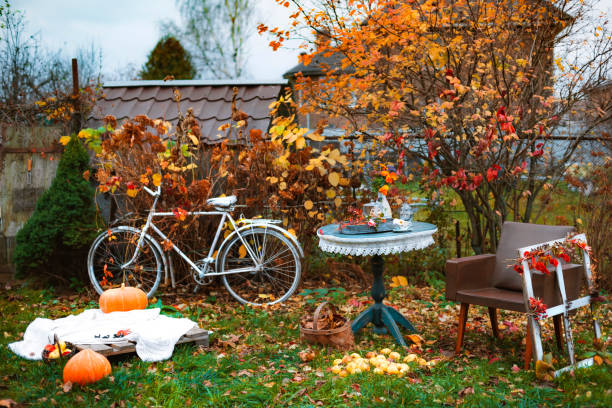 decorations in the backyard for relaxing in the autumn garden. Relaxing atmosphere backyard and on the terrace stock photo