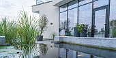 istock Decorative pond with lilies and fish near the glass wall of a modern house 1356009264