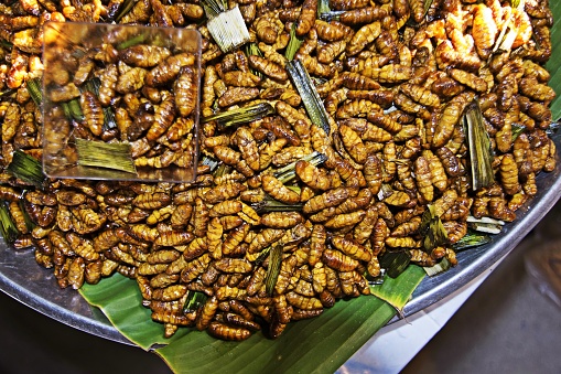 タイの新鮮な現地の皿の深い揚げ虫 アジア料理のストックフォトや画像を多数ご用意 Istock