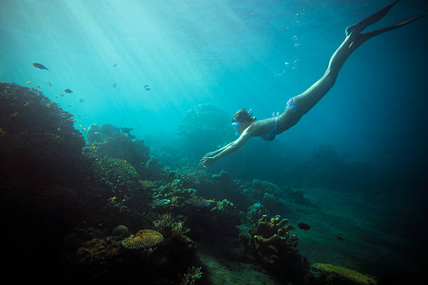 deep snorkeling young  woman snorkeling (freediving) in deep waters of Indian ocean woman snorkeling stock pictures, royalty-free photos & images