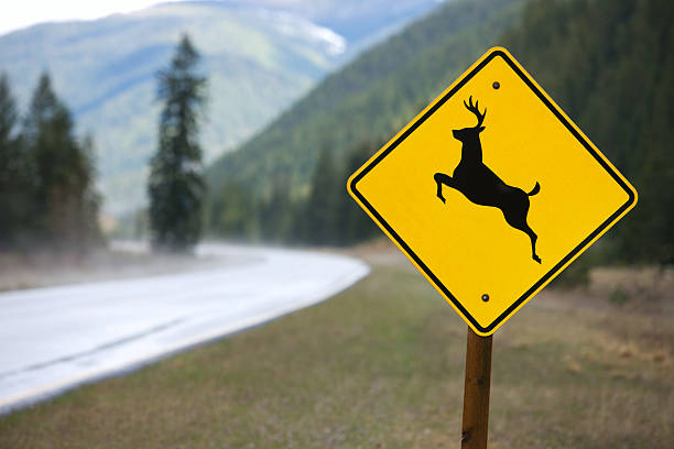 Deer crossing sign in Idaho. stock photo