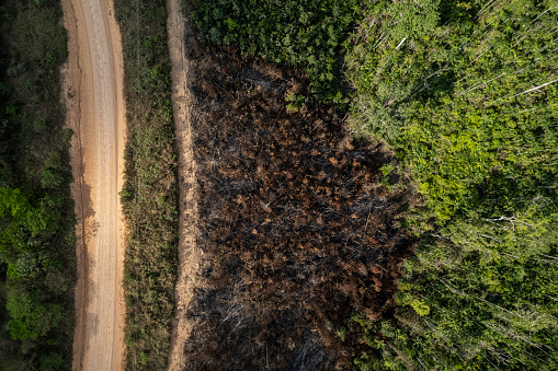 Deforestation and burning on rural properties in the Amazon rainforest. Forest fires on the banks of the Transamazonica Highway.
