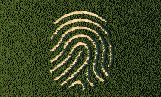 Deforestation in shape of human fingerprint, top view, (3d render)