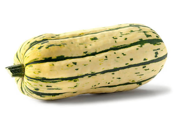 Delicate Squash Delicata Squash  -Photographed on Hasselblad H3-22mb Camera squash vegetable stock pictures, royalty-free photos & images