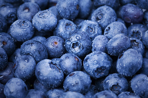 Delicious Blueberries Macro zoom photo of bluebarries. blueberry stock pictures, royalty-free photos & images