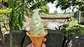 長野県安曇野の有名なわさび農場でおいしいわさびアイスクリーム