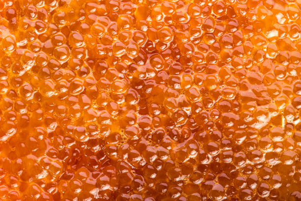 Delicous caviar closeup. Pike or salmon caviar stock photo
