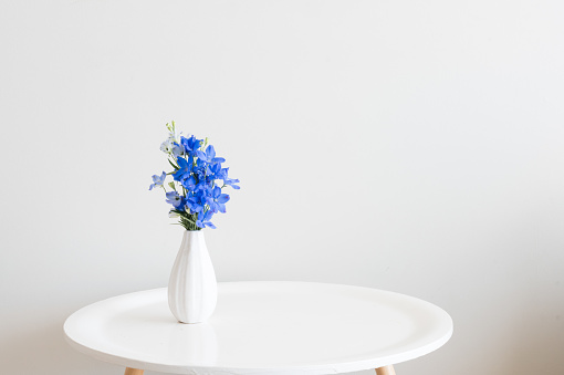 Close up of blue delphinium flowers in small white vase on round table against neutral background