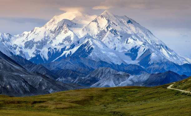 Denali (also known as Mount McKinley) - Alaska - USA Denali (also known as Mount McKinley, its former official name) is the highest mountain in North America at 20,310ft. Located in Denali National Park and Preserve, Alaska, USA. alaska stock pictures, royalty-free photos & images