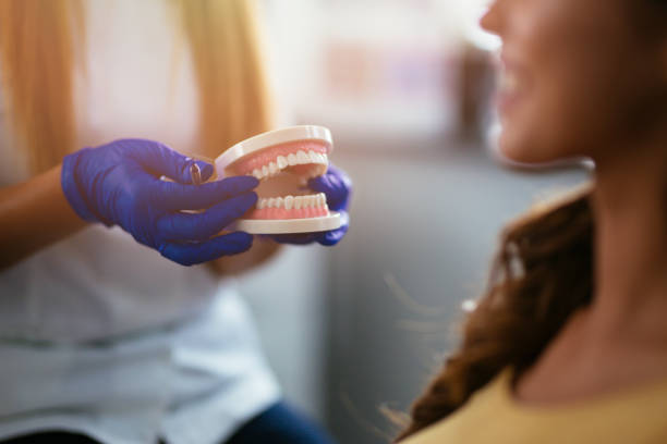 Dentist holding teeth model stock photo
