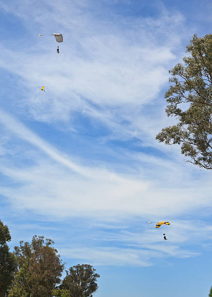 Descending skydivers stock photo