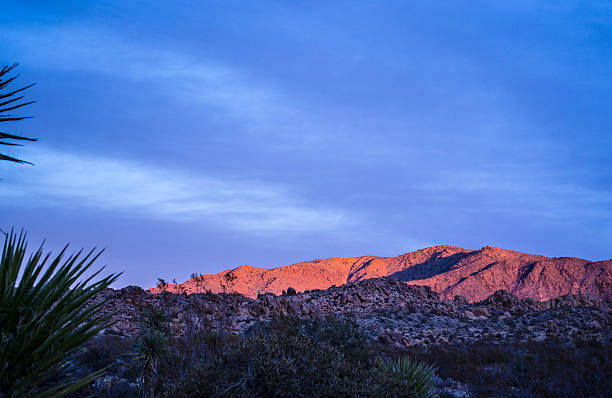 Desert Dawn stock photo