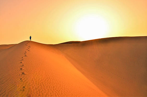 砂漠で、グランカナリア - 砂漠 ストックフォトと画像