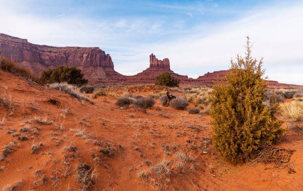 Desert in Utah, USA Remote view of Monument Valley, Utah, USA, in the winter colorado plateau stock pictures, royalty-free photos & images