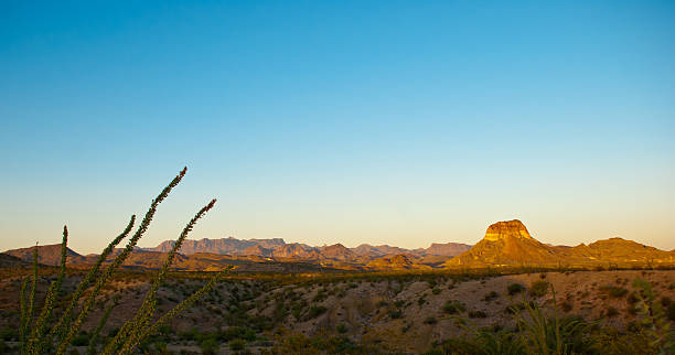 Desert Landscape stock photo
