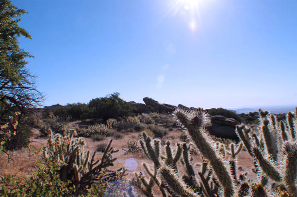 Desert Rock Landscape stock photo