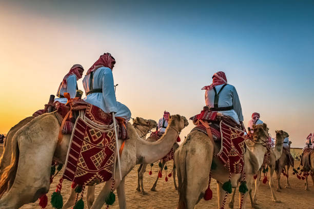 Desert safari camel ride in Abqaiq Dammam Saudi Arabia.This Photo was taken Month of January 4th Year 2020.. stock photo