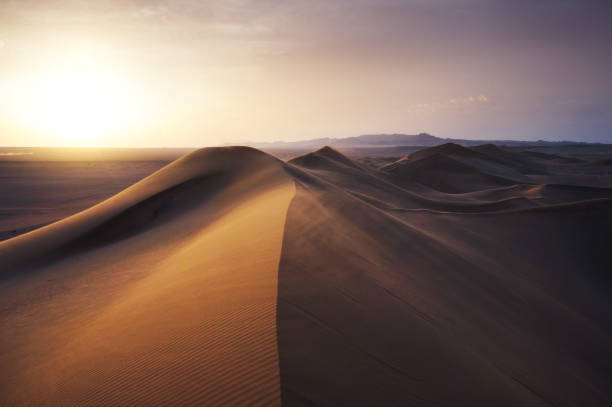 Desert sand sunset stock photo
