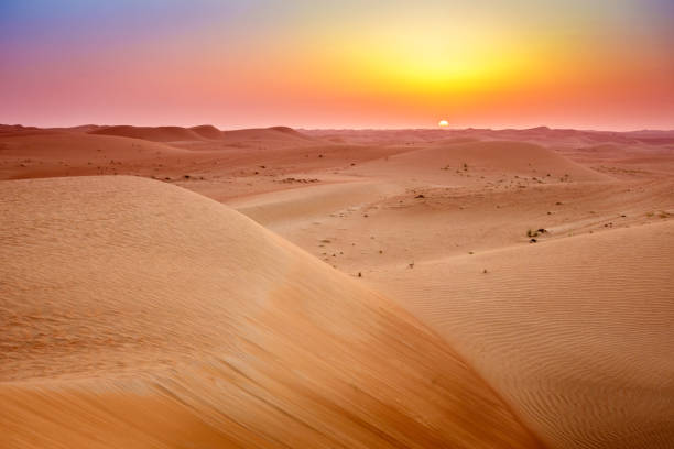 Desert sunrise Sun rising over dunes of Dubai Desert Conservation Reserve, UAE nature reserve stock pictures, royalty-free photos & images